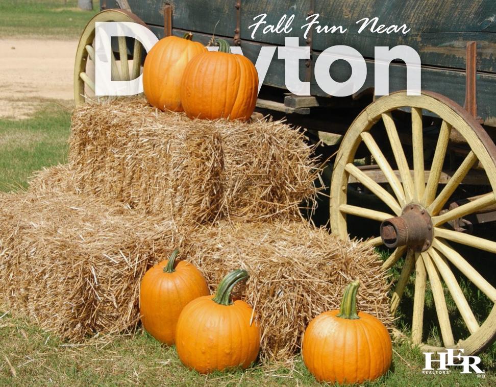 Best Farms and Pumpkin Patches for Fall Fun Near Dayton, OH